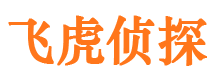 凌云外遇调查取证